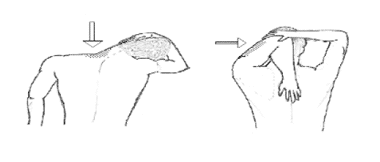 Illustrations to demonstrate stretching techniques